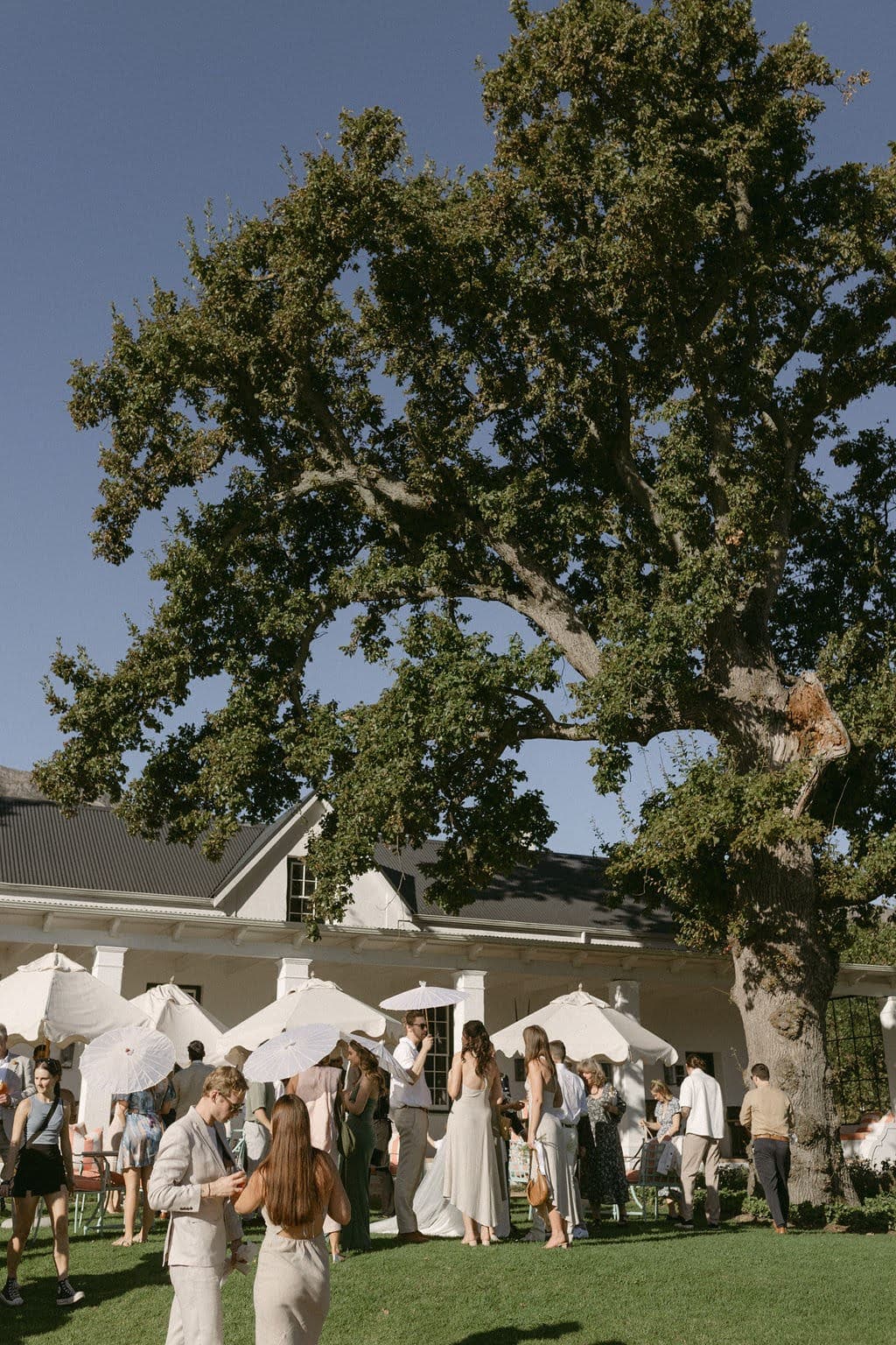 Wedding photograph 7