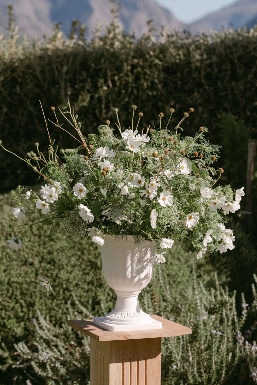 Wedding photograph 10