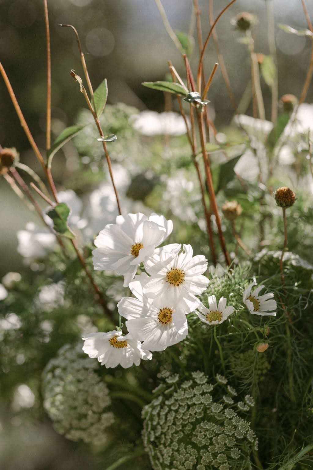 Wedding photograph 11