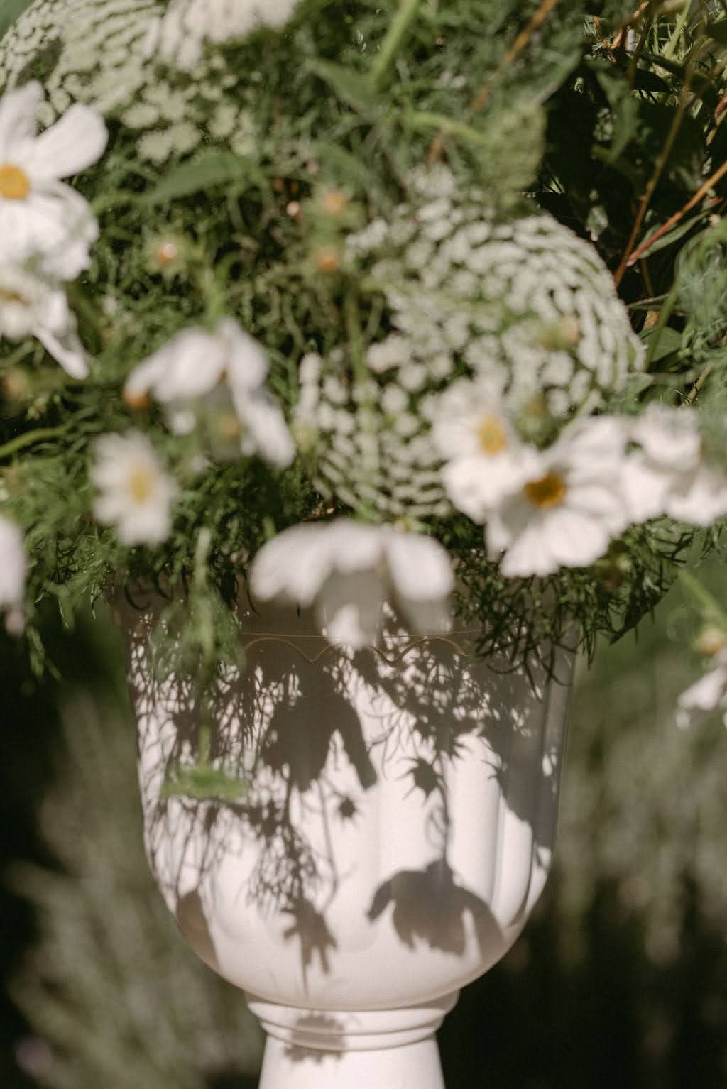 Wedding photograph 12