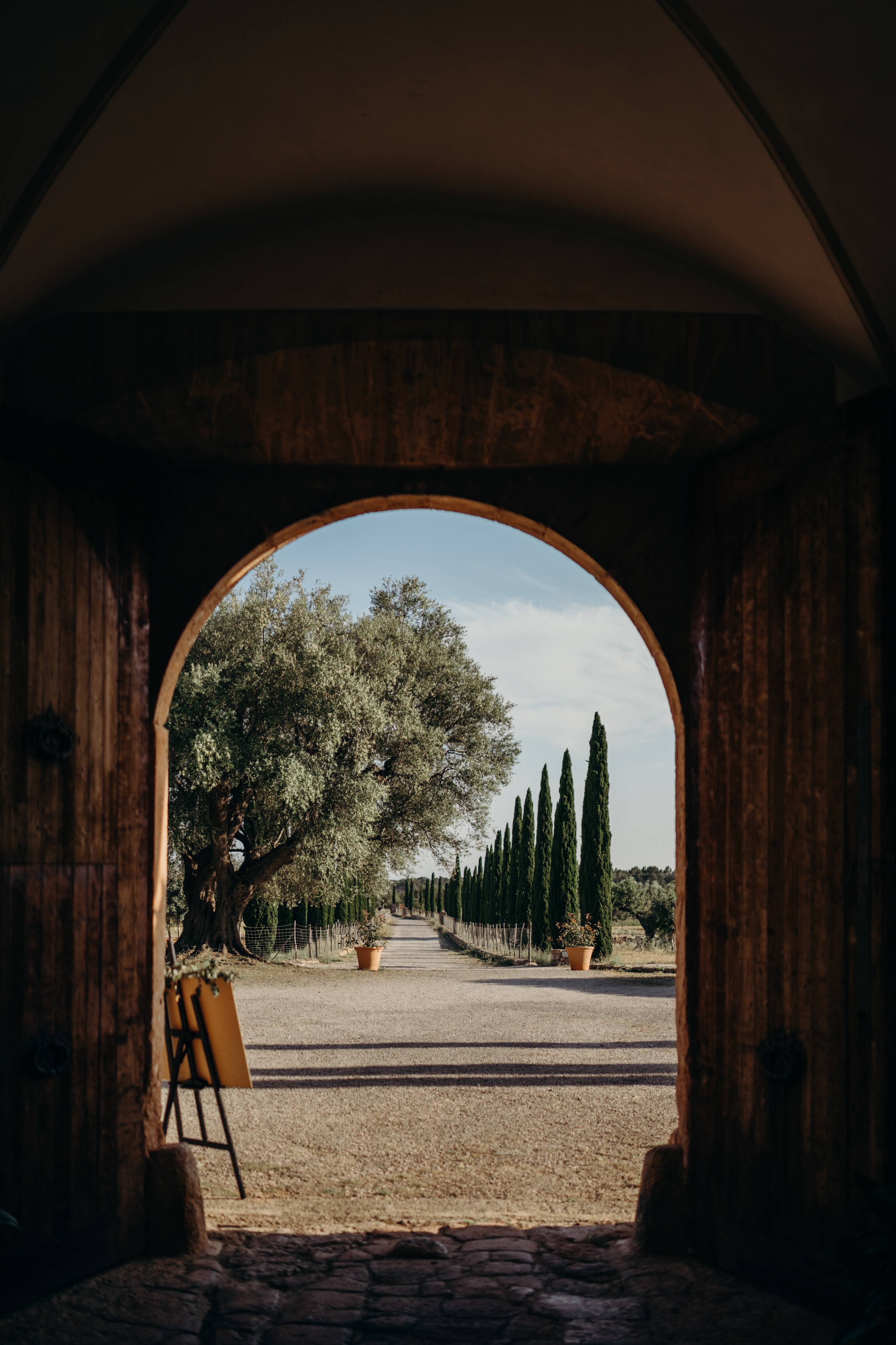 Wedding photograph 22