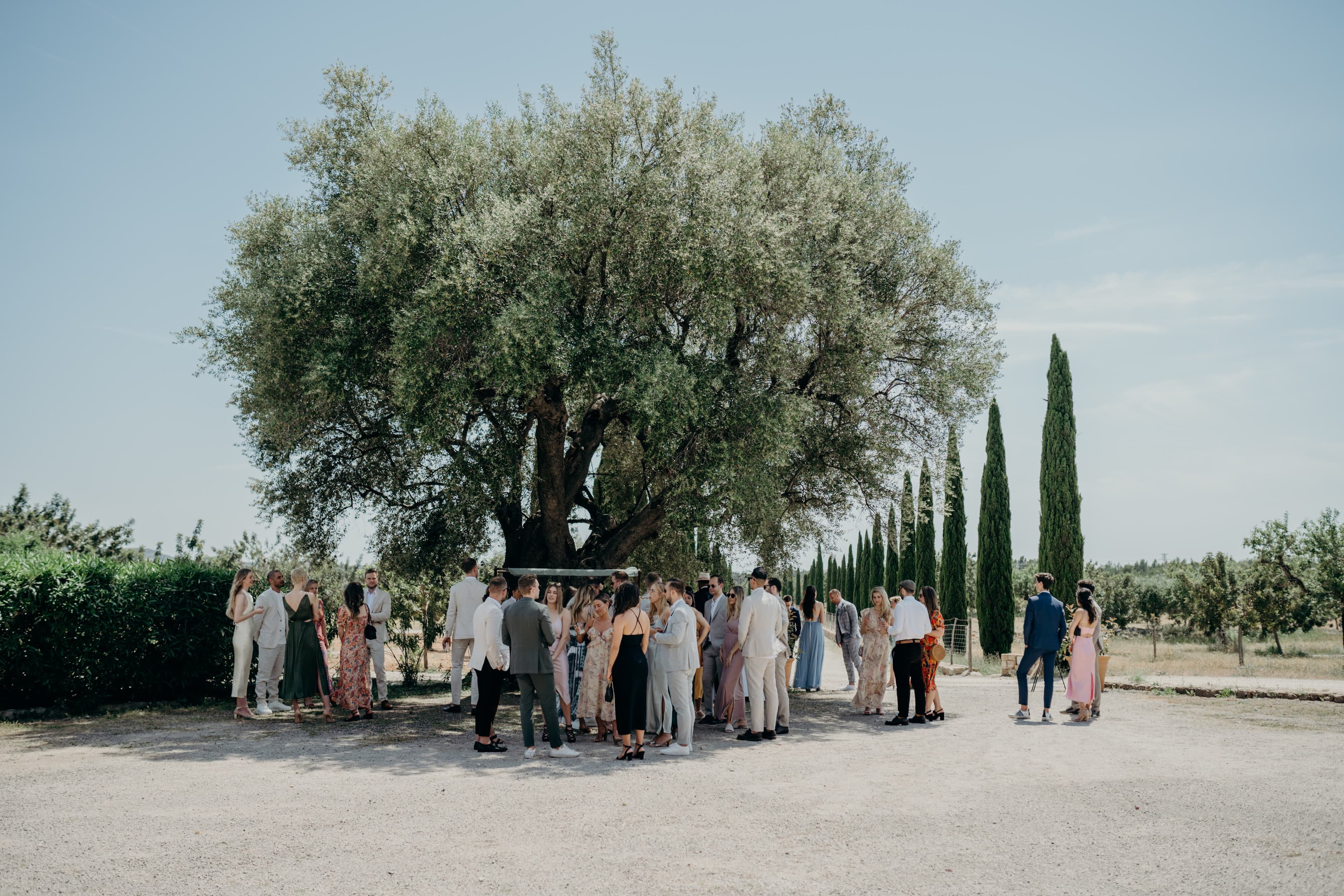 Wedding photograph 15