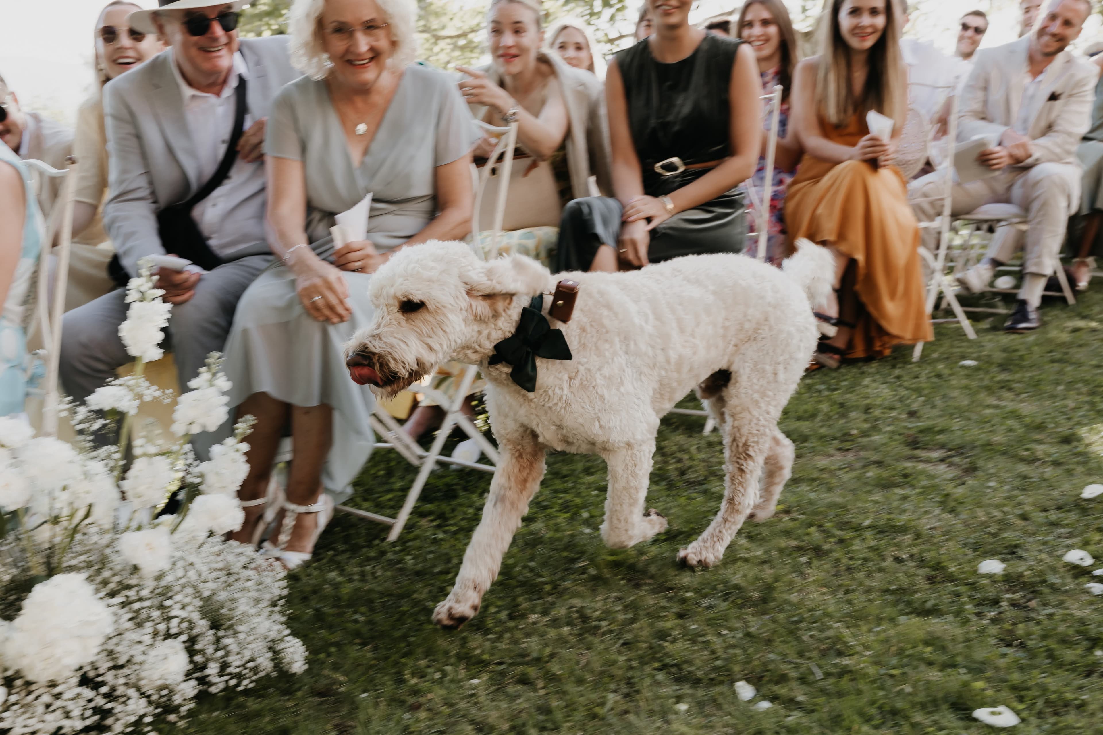 Wedding photograph 7