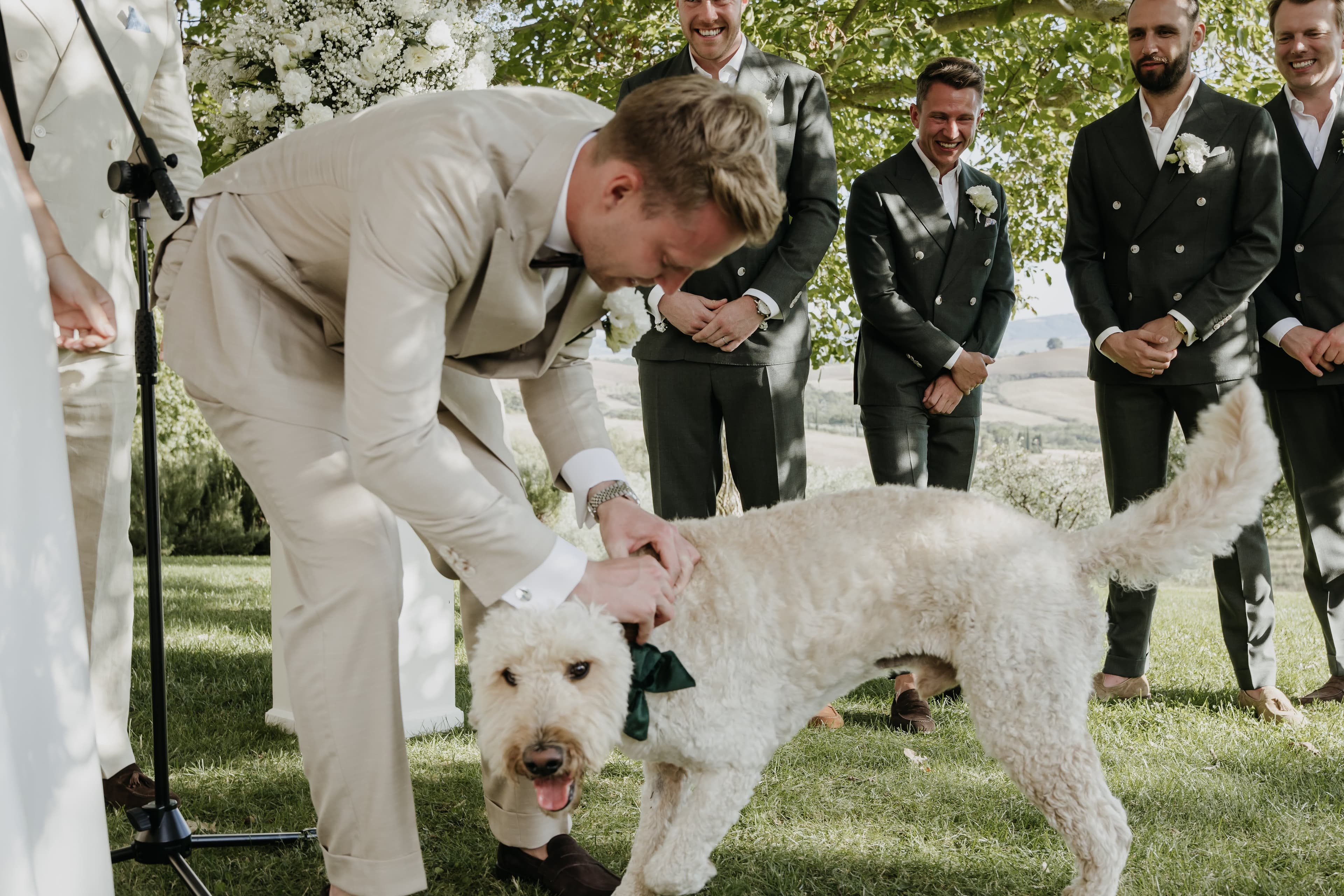 Wedding photograph 8